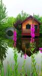 湖畔木屋旁的烂漫花卉