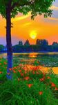 夕阳下湖畔繁花绿树美景