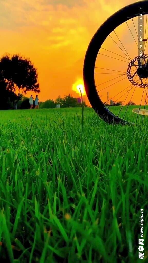 夕阳下的草地与自行车轮