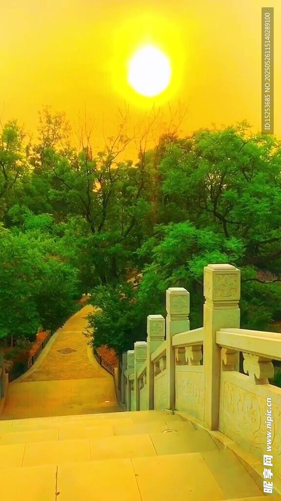 夕阳下的林间步道与桥