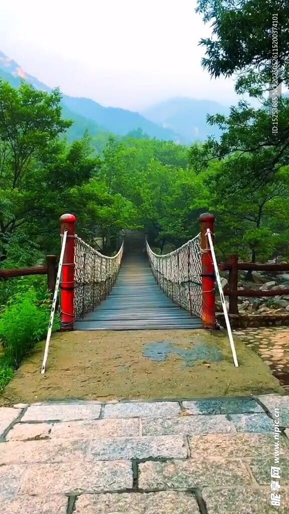山间吊桥 自然美景