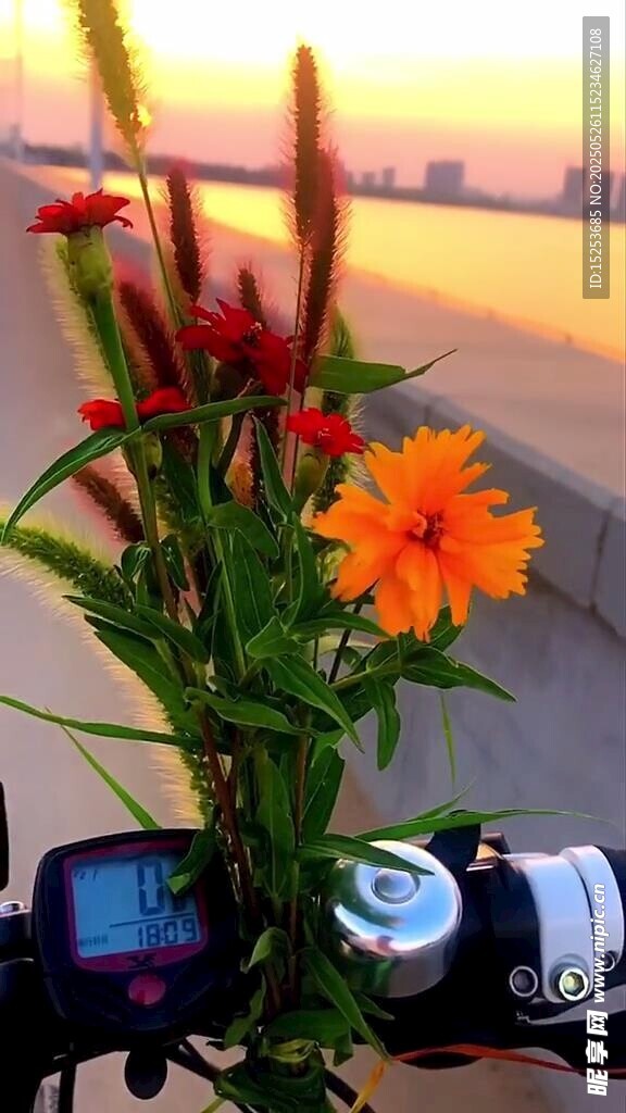 车中瓶插鲜花赏夕阳