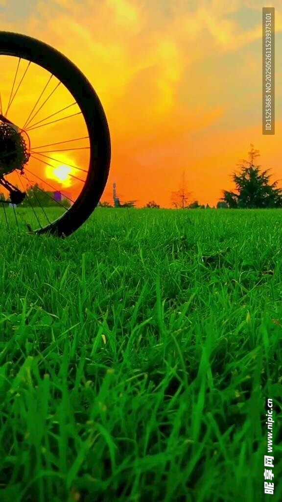 夕阳下的草地与自行车轮