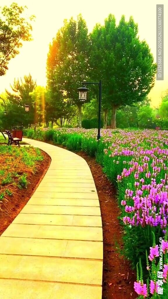 夕阳下的缤纷花园小径
