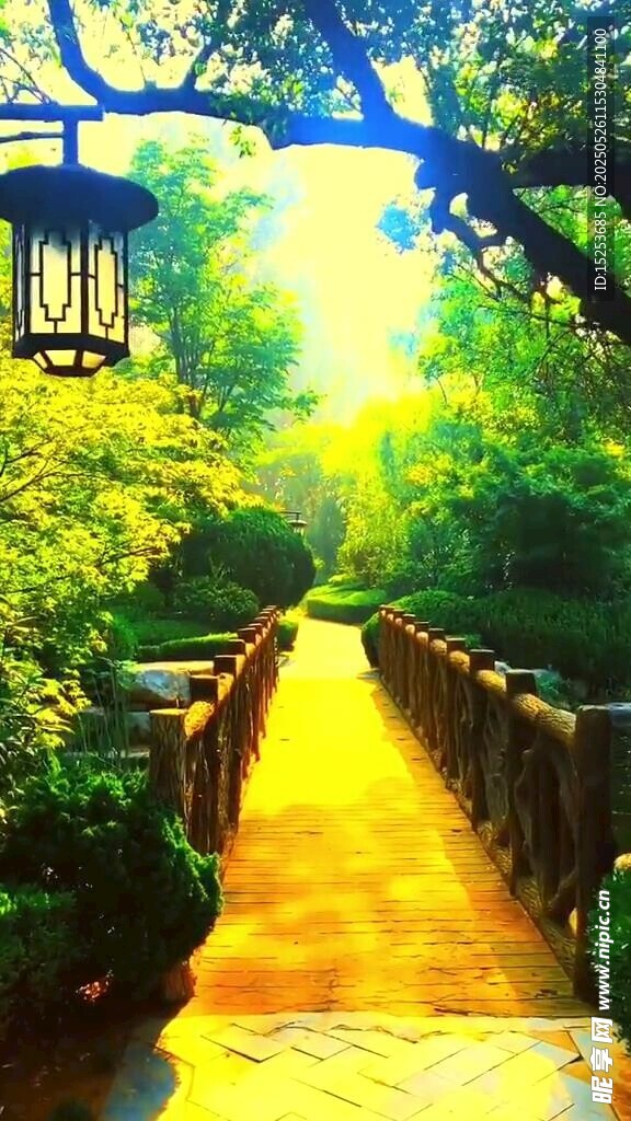 林间阳光洒落的幽静小道