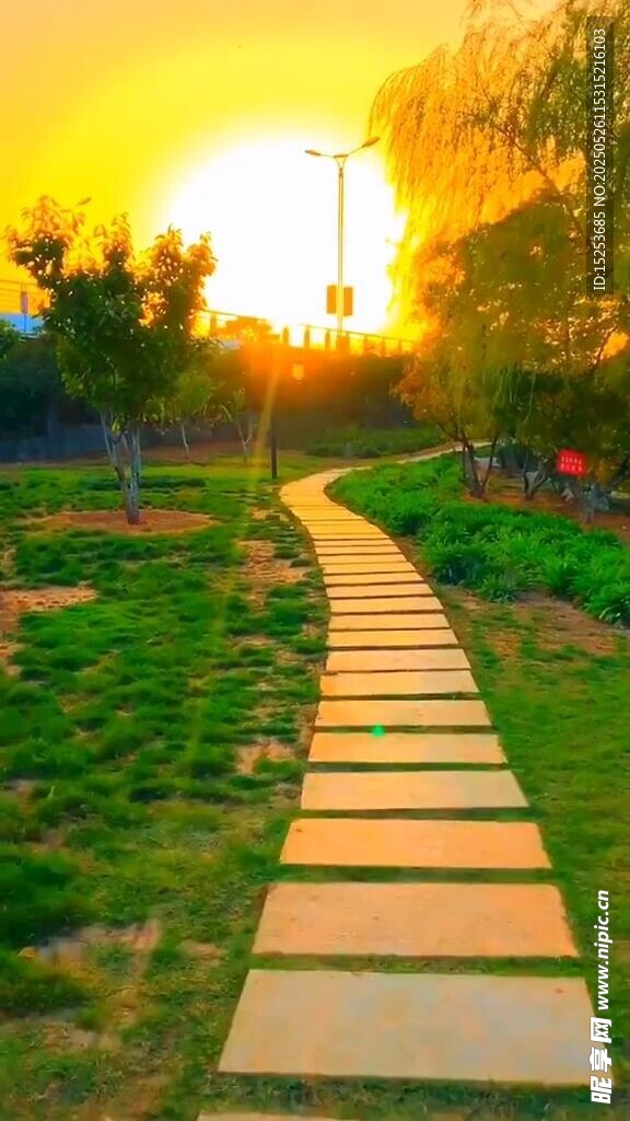 夕阳下的林间石板小径