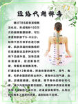 经络代谢排毒