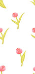 粉色郁金香花卉图案