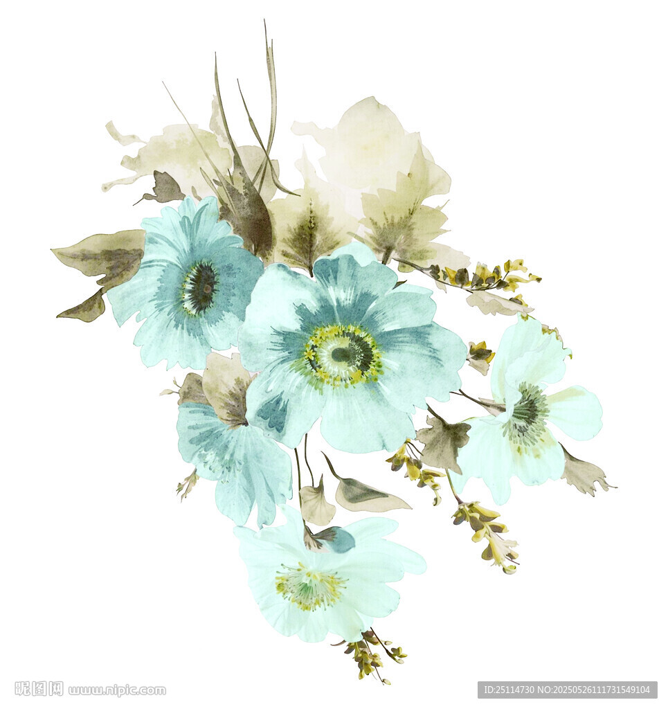 淡蓝色花卉水彩插画