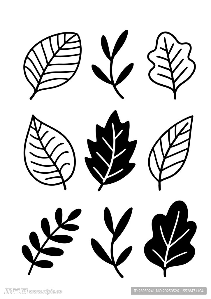 叶子插画