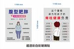 腹型肥胖 脊柱健康海报