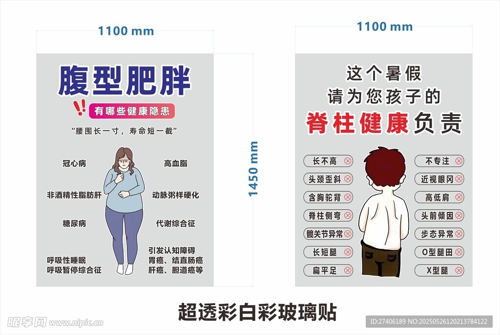腹型肥胖 脊柱健康海报