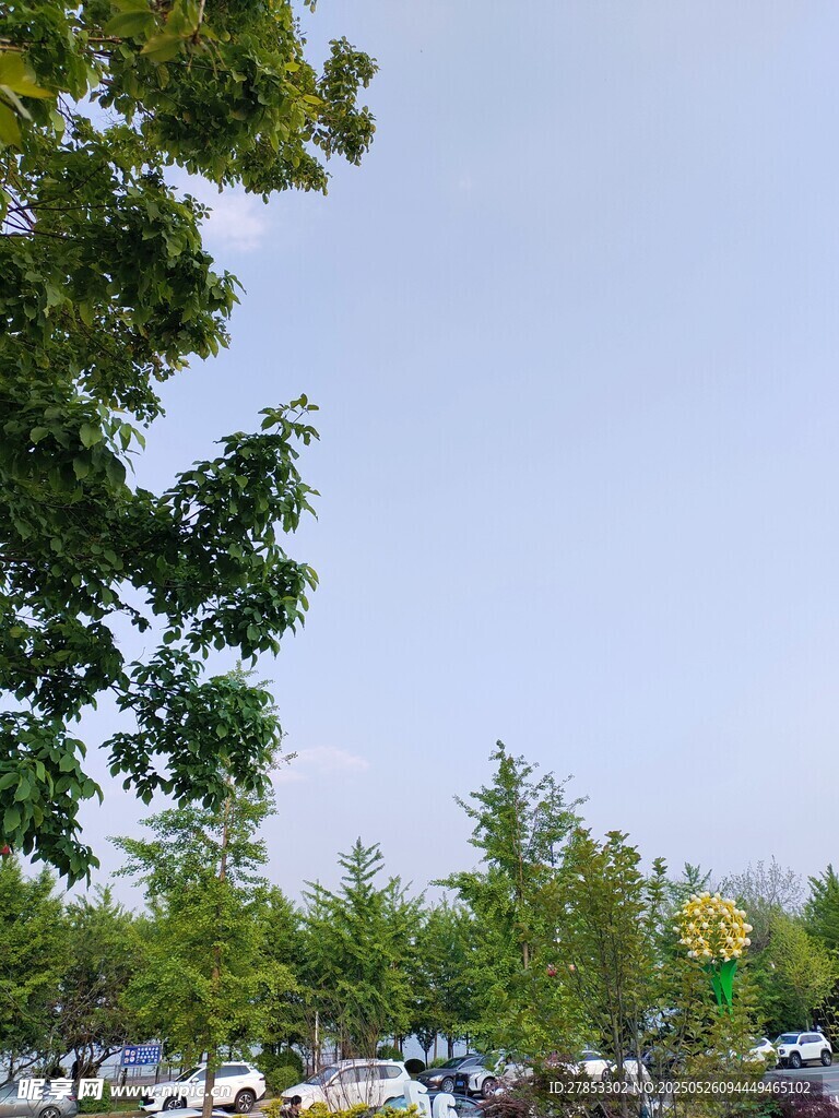 停车场边绿树蓝天景致