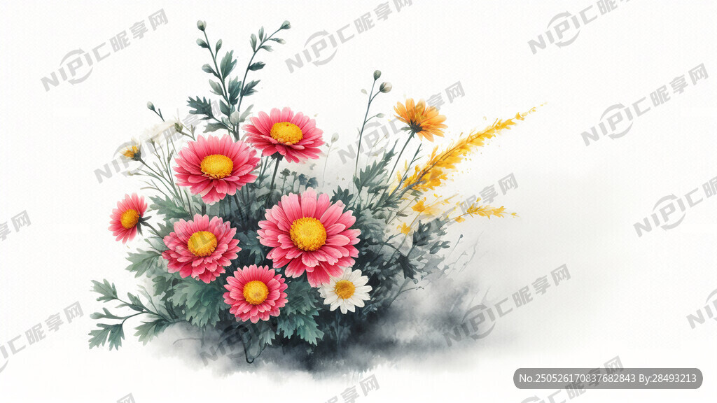 刺绣 直立的雏菊花草 白色背景