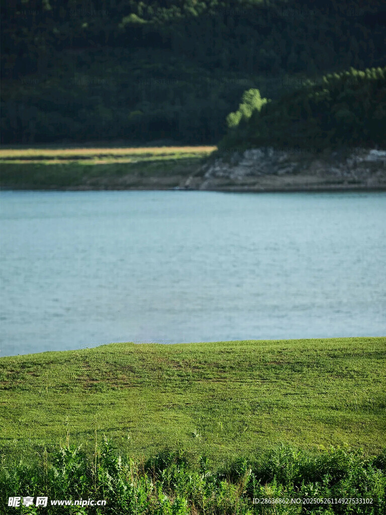 湖畔绿野风光