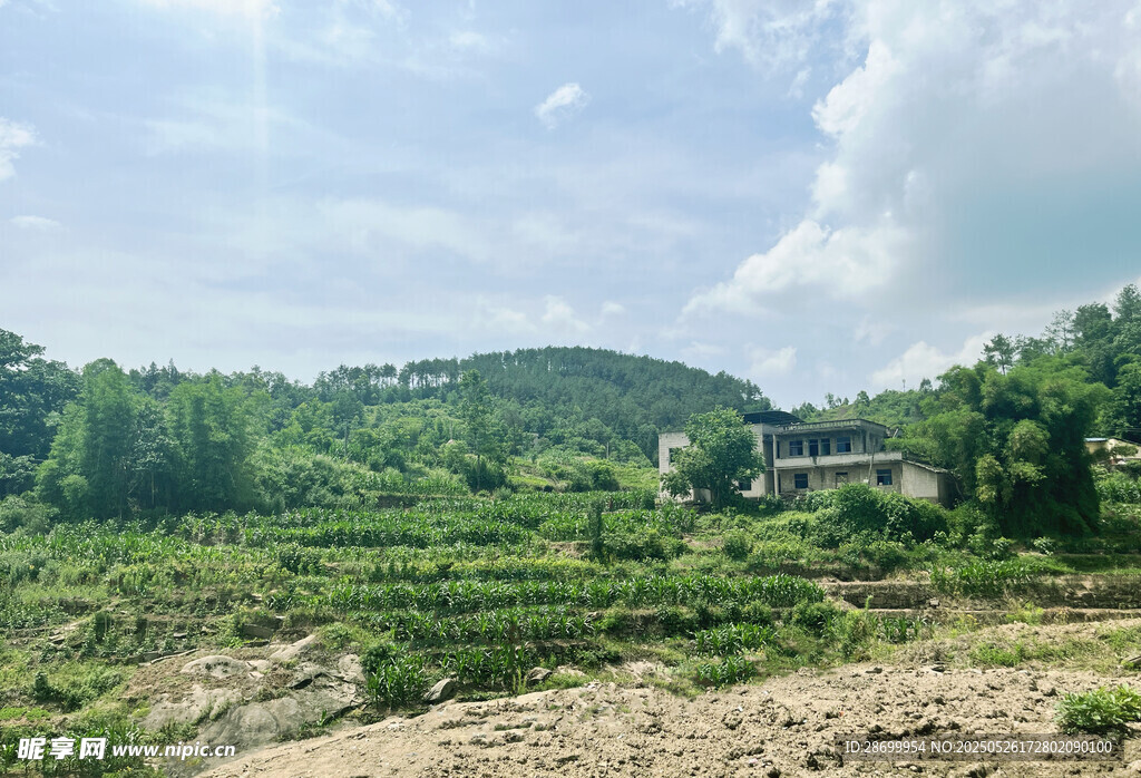 乡村梯田美景