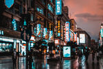 都市雨夜霓虹下的繁华街景