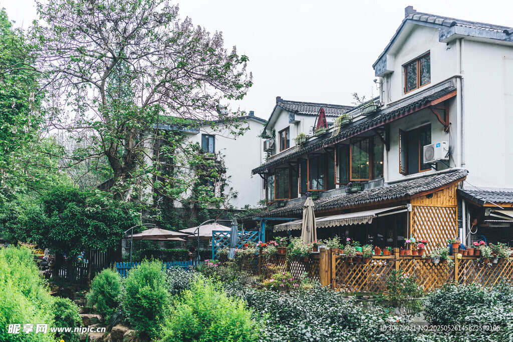 江南风民居 绿植环绕景致美