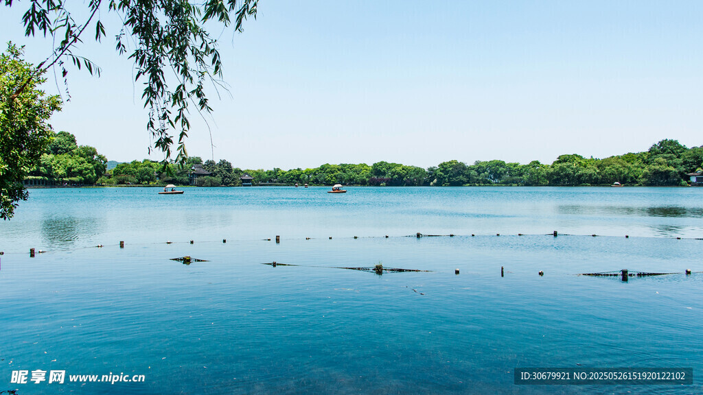 湖畔美景 碧波荡漾飞鸟伴