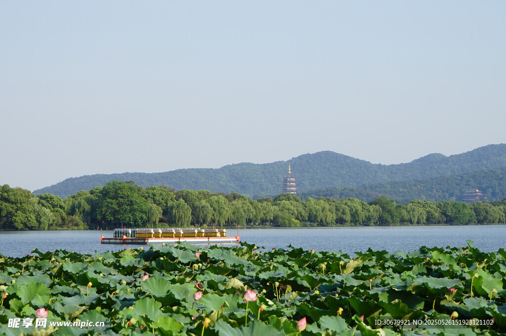 湖畔荷叶与远山美景