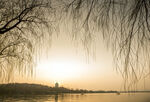 夕阳下的垂柳湖畔美景