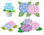 矢量绣球花