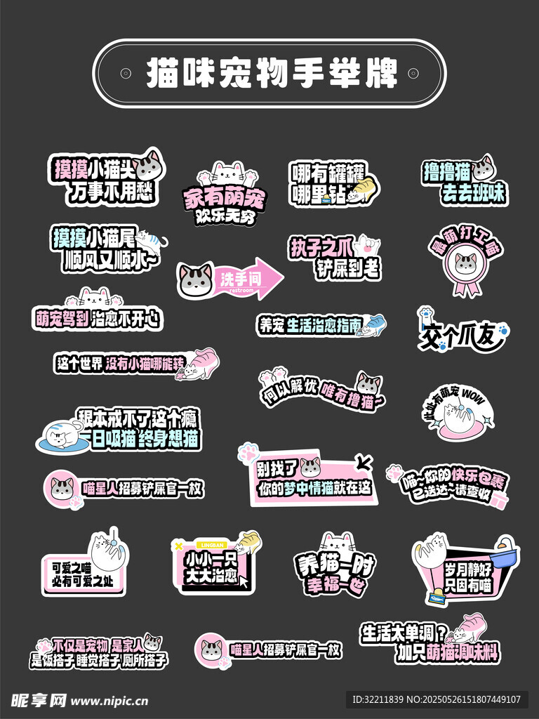 猫咪拍照手举牌