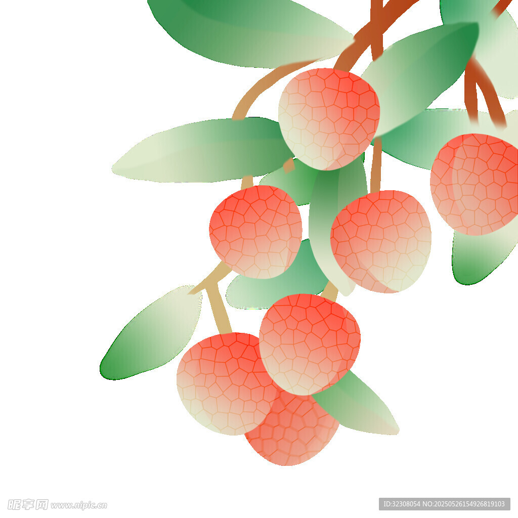 枝头荔枝俏