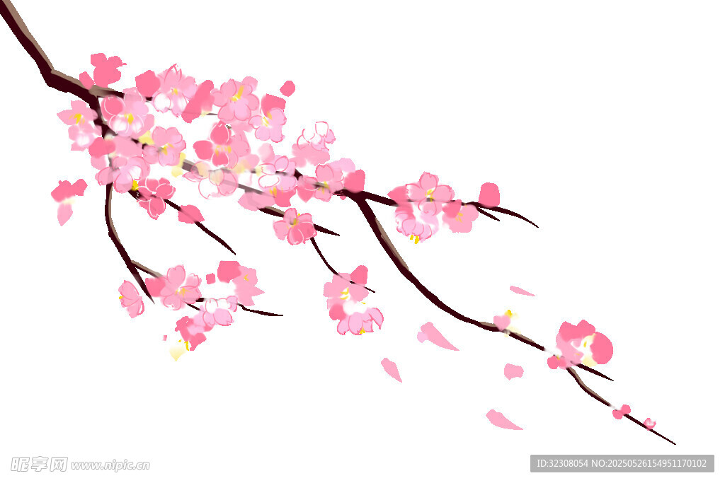 粉色樱花枝 花瓣轻飘落