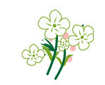 清新手绘花卉图案