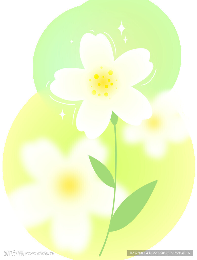 清新手绘白色小花插画