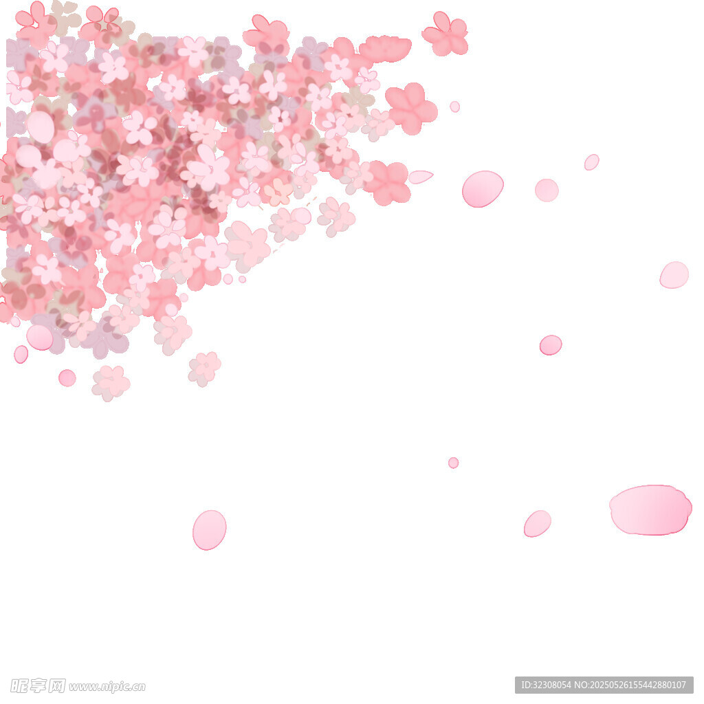 粉色樱花花瓣飘落画面