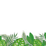 绿色植物边框装饰素材