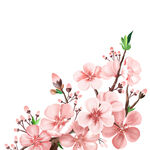 粉色烂漫桃花枝