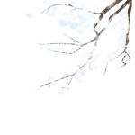 冬日枯枝雪景