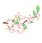 手绘粉色花枝插画