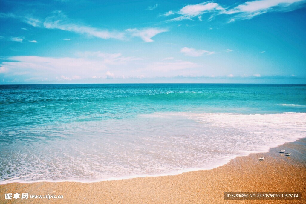 美丽海滨风光