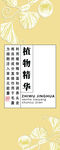 植物学书籍封面展示