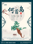 何首乌主题古风插画海报