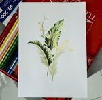 花卉图案