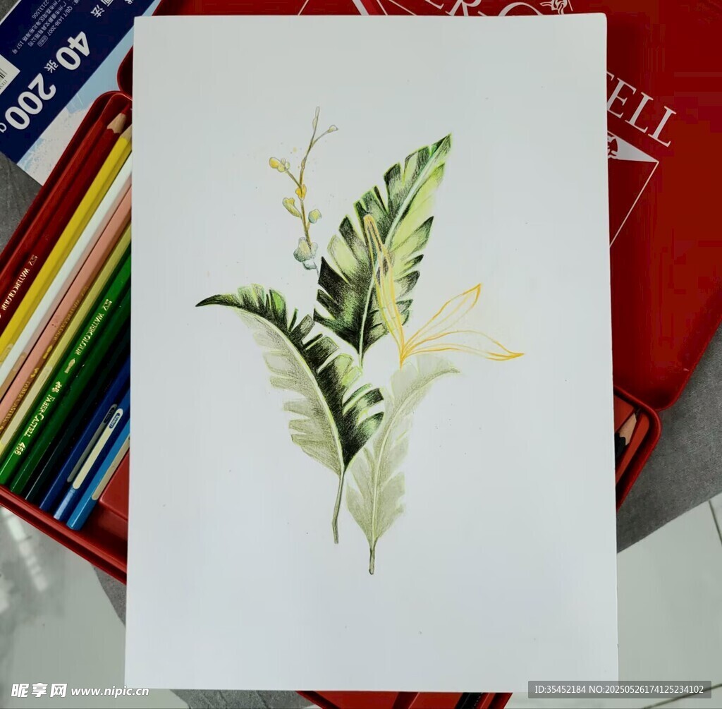 花卉图案