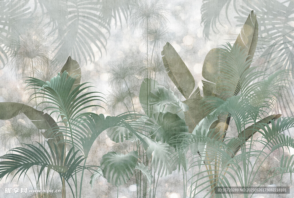 热带植物背景图
