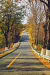 秋日林间公路美景