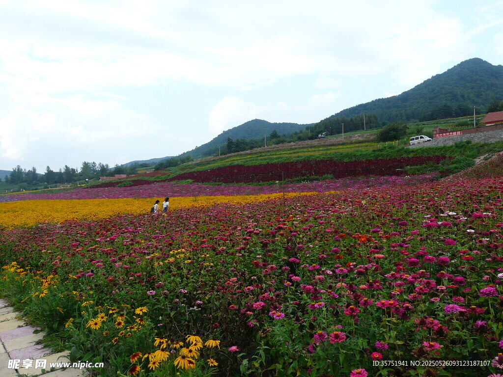多彩花海田园风光美景