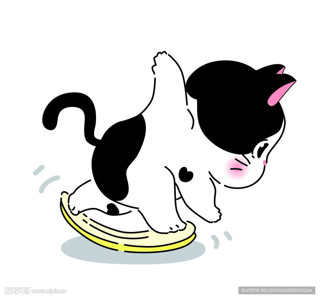 运动猫咪