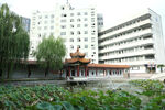 中式亭台与现代建筑相映