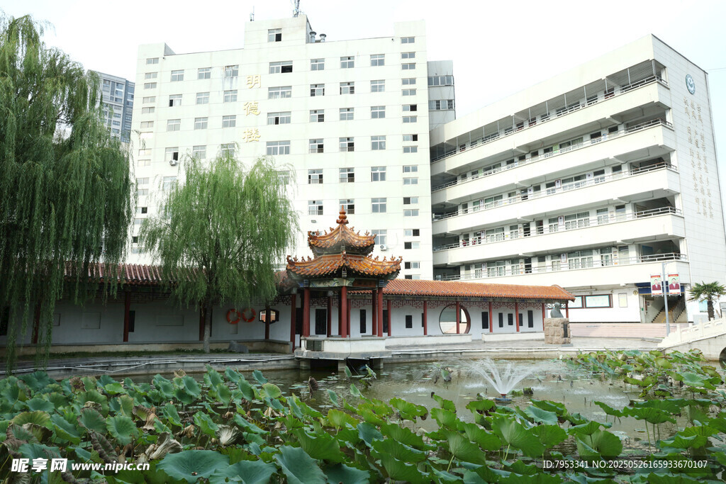 中式亭台与现代建筑相映