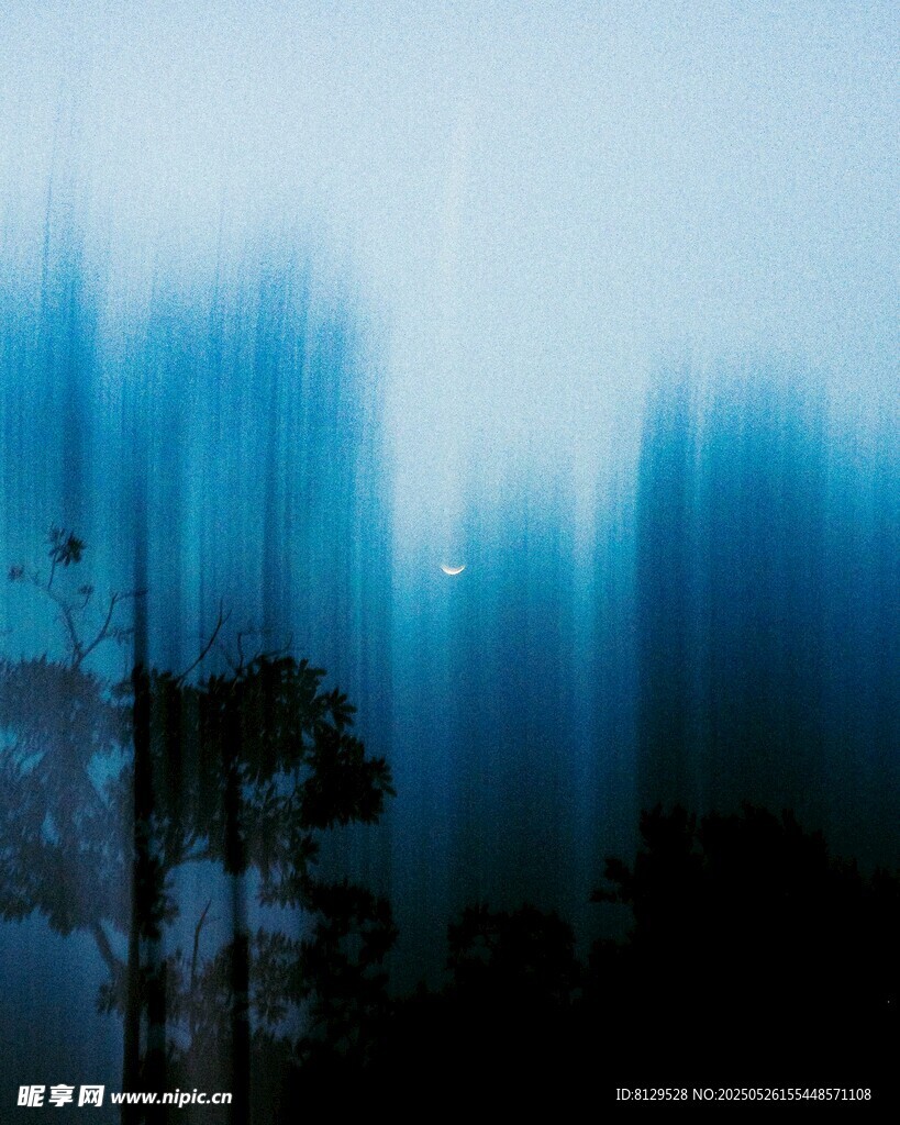 梦幻蓝调森林朦胧景象