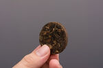手捧普洱茶饼特写