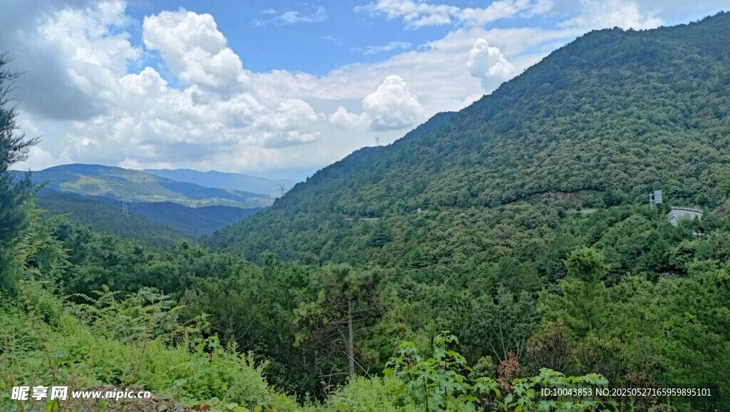 山林
